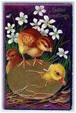 c1910's Easter Greetings Baby Chicks Hatched Egg Flowers Winsch Back Postcard picture