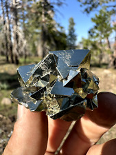 Very Sharp Octahedral Pyrite, Crystallized Vug on Bottom Huanzala Mine, Peru picture