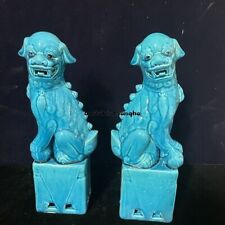 Pair Jingdezhen Light Blue Porcelain Foo Fu Dog Lion Statue Guardion Lion Decor picture