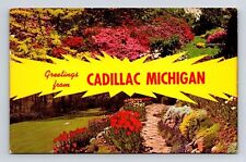 Greetings Cadillac Michigan Scenic Multi View Gardens Chrome UNP Postcard picture