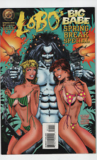 Lobo's Big Babe Spring Break Special #1 One-Shot 1995 DC Comic Good Girl Art GGA picture