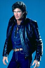 DAVID HASSELHOFF KNIGHT RIDER POSE 24x36 inch Poster picture