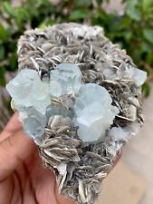 3555 CTS Stunning Natural Aquamarine Crystals With Muscovite  Specimen picture