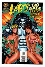 Lobo's Big Babe Spring Break Special #1 - One-Shot - 1995 - NM picture
