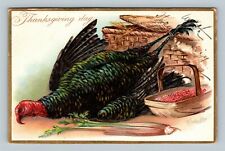 THANKSGIVING-A/S RJ Wealthy Tuck Series #123 Vintage Postcard Turkey Cranberry picture