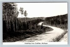 RPPC Cadillac MI-Michigan, Scenic Greetings, Highway Scene Vintage Postcard picture