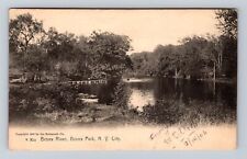 New York City NY-New York, Bronx River, Bronx Park, Antique, Vintage Postcard picture
