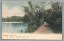 The Lake Road, Twin Lakes, Conn. CT Hand Colored Undivided Back Postcard c1905 picture