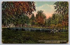Bloody Pond Shiloh National Military Park Pittsburg Landing Tennessee c1910 picture