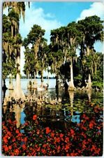 Postcard - Cypress Gardens, Florida picture