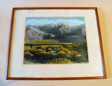 Vintage Signed Hand Tinted Photo California Mount San Jacinto Palm Springs, CA picture