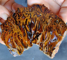 8.95 oz (254 gr) Flame Agate, めのう, Turkish Agate, 玛瑙, Agate Specimen, Agate Pair picture