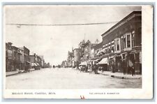 Cadillac Michigan MI Postcard Mitchell Street Buildings Road Horse Carriage 1908 picture