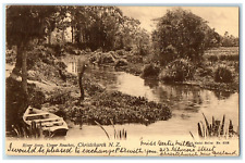 1907 River Avon Upper Reaches Christchurch New Zealand Antique Posted Postcard picture