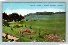 Pasadena CA, Sunken Garden's at Busch's Home, California c1910 Vintage Postcard picture