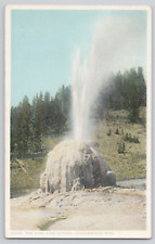 Postcard The Lone Star Geyser, Yellowstone, Wyoming picture