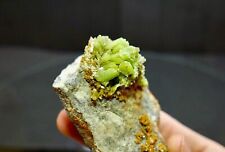 Bright Green Pyromorphite Cluster on Matrix - Daoping Mine, Guangxi, China picture