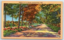Postcard Greetings from Bridgton, Maine J180 picture