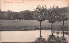 Netherlands Hilversum Spanderswoud Cows Vintage Postcard 03.83 picture