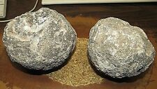  2 BEAUTIFUL LAS CHOYAS  MEXICAN COCONUT AGATE GEODES; SOLID NODULES 5-6 LBS picture