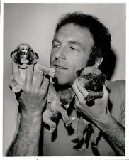 LAE2 Original Delmar Watson Photo JAMES CAAN & YOUNG PUPPIES ACTOR FAMILY DOGS picture