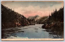 Postcard Canyon On The Stikine River Near Wrangell Alaska Posted 1909 picture