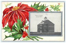c1910 Public School Exterior Building Alpha Minnesota Vintage Embossed Postcard picture
