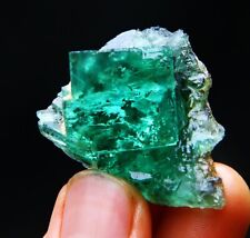 25.8 g natural cubic green transparent fluorite specimen/China picture