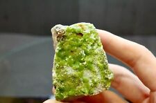 Bright Green Pyromorphite Crystals on Matrix - Daoping Mine, Guangxi, China picture