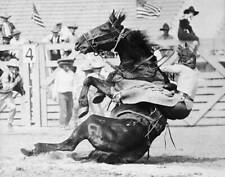 Fox Hastings cowgirl and trick rider being thrown by 