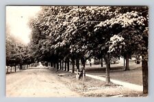 Saranac MI-Michigan, RPPC, Mill St Scenic View, Antique, Vintage Postcard picture