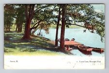 Aurora, IL-Illinois, Lovers Lane Riverview Park Antique, Vintage Postcard picture