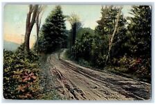 c1910's River Road View And Trees Gardiner Maine ME Posted Antique Postcard picture
