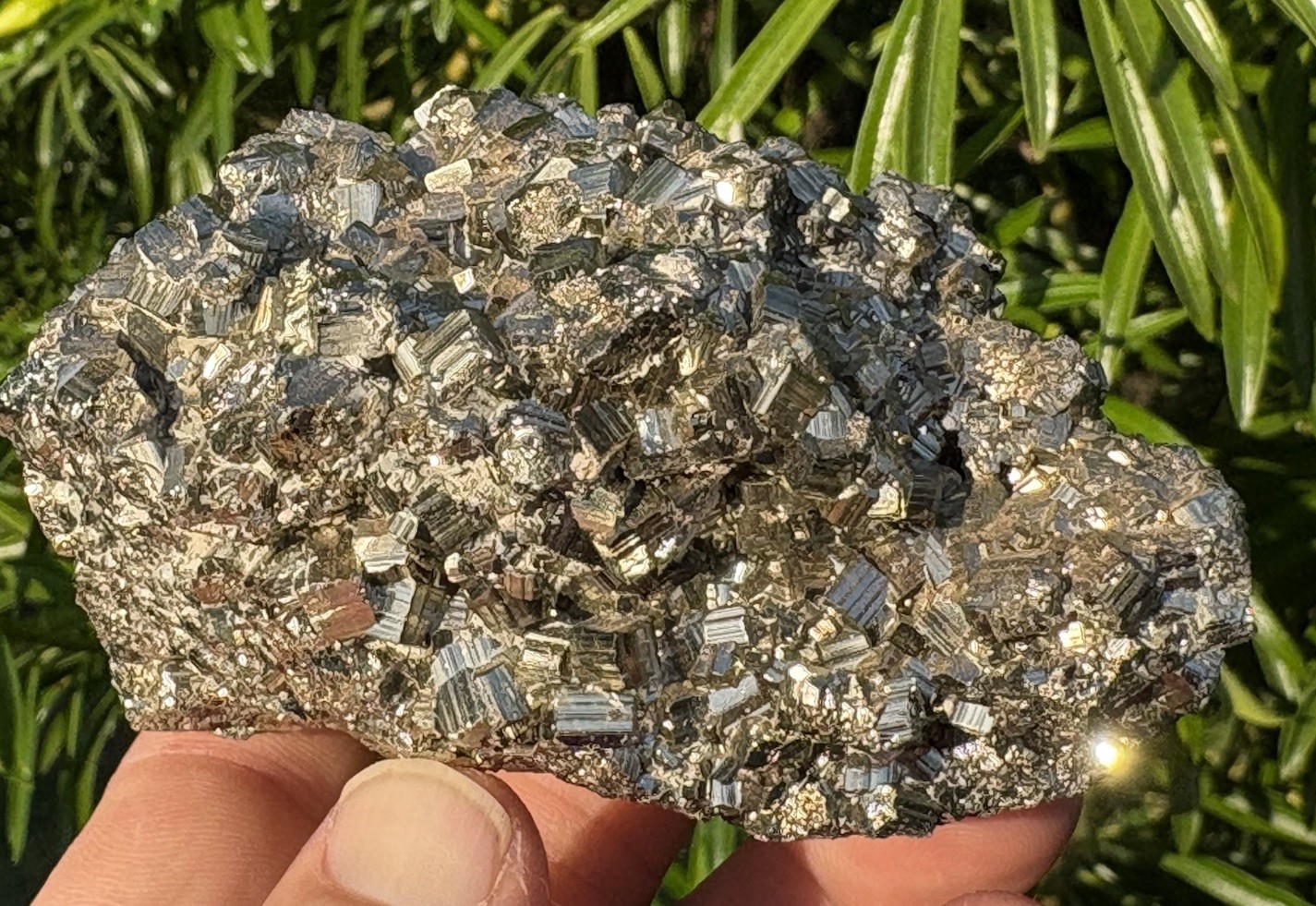 ☘️RR⛏️: Excellent Cubic Pyrite Mundo Nuevo Mine, Peru, 1.5 Lb