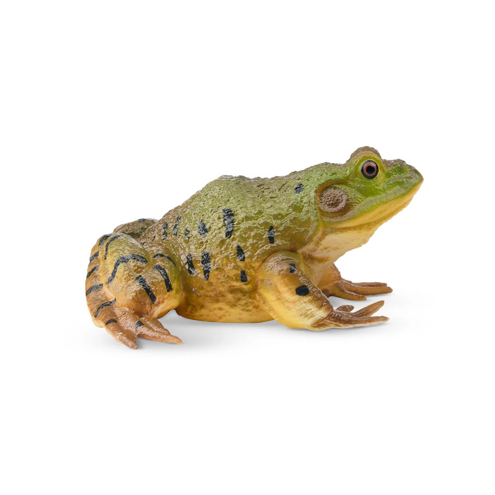Bullfrog-Toymany African Bullfrog Frog Collectible Statue Bullfrog-Toymany African Bullfrog Frog Collectible Statue