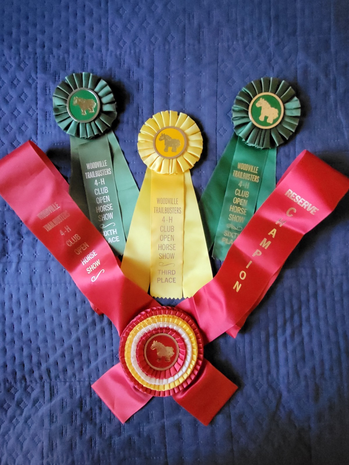 Woodville Necksash Horse Show Ribbons Awards Trailbusters 4-H Club Plush Pony
