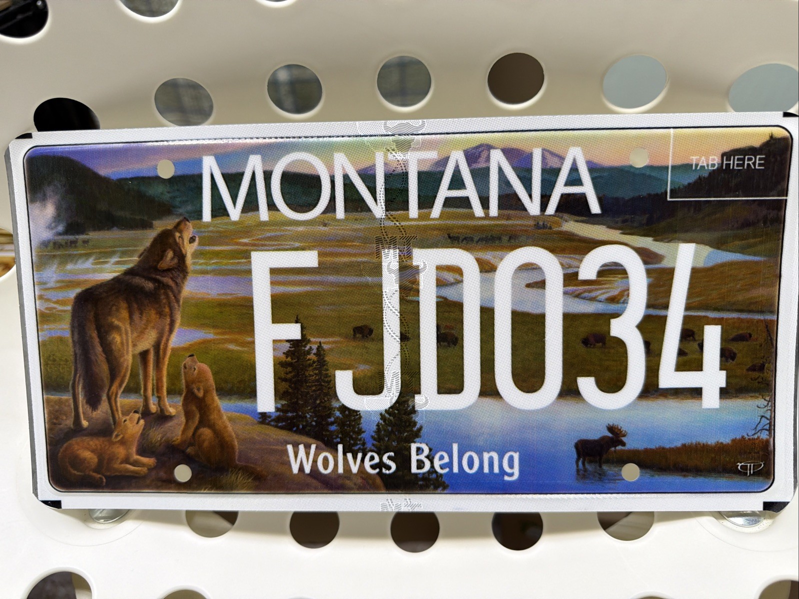 WOLVES BELONG BEAR CREEK COUNCIL MONTANA LICENSE PLATE WOLVES BELONG BEAR CREEK COUNCIL MONTANA LICENSE PLATE