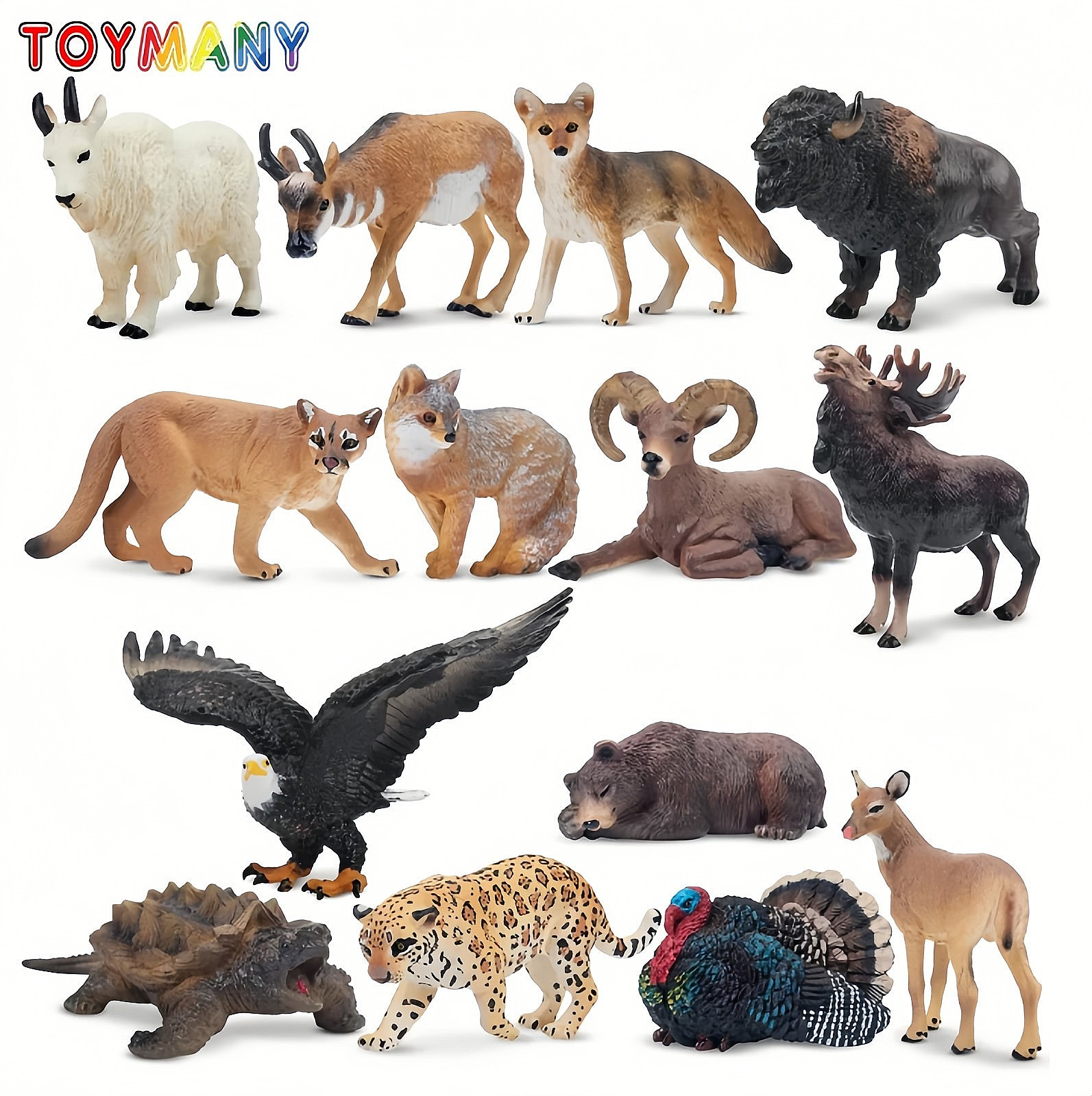 Toymany Toymany 14pcs Simulation Mini North American Animals Mod