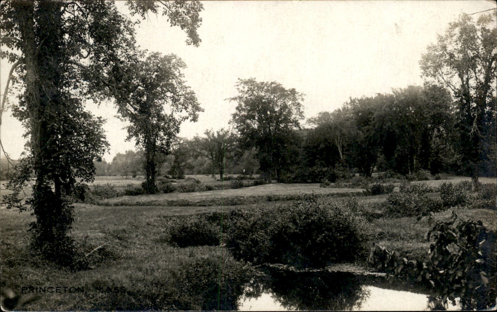 Princeton Massachusetts MA Landscape c1900s-10s Real Photo Vintage Postcard