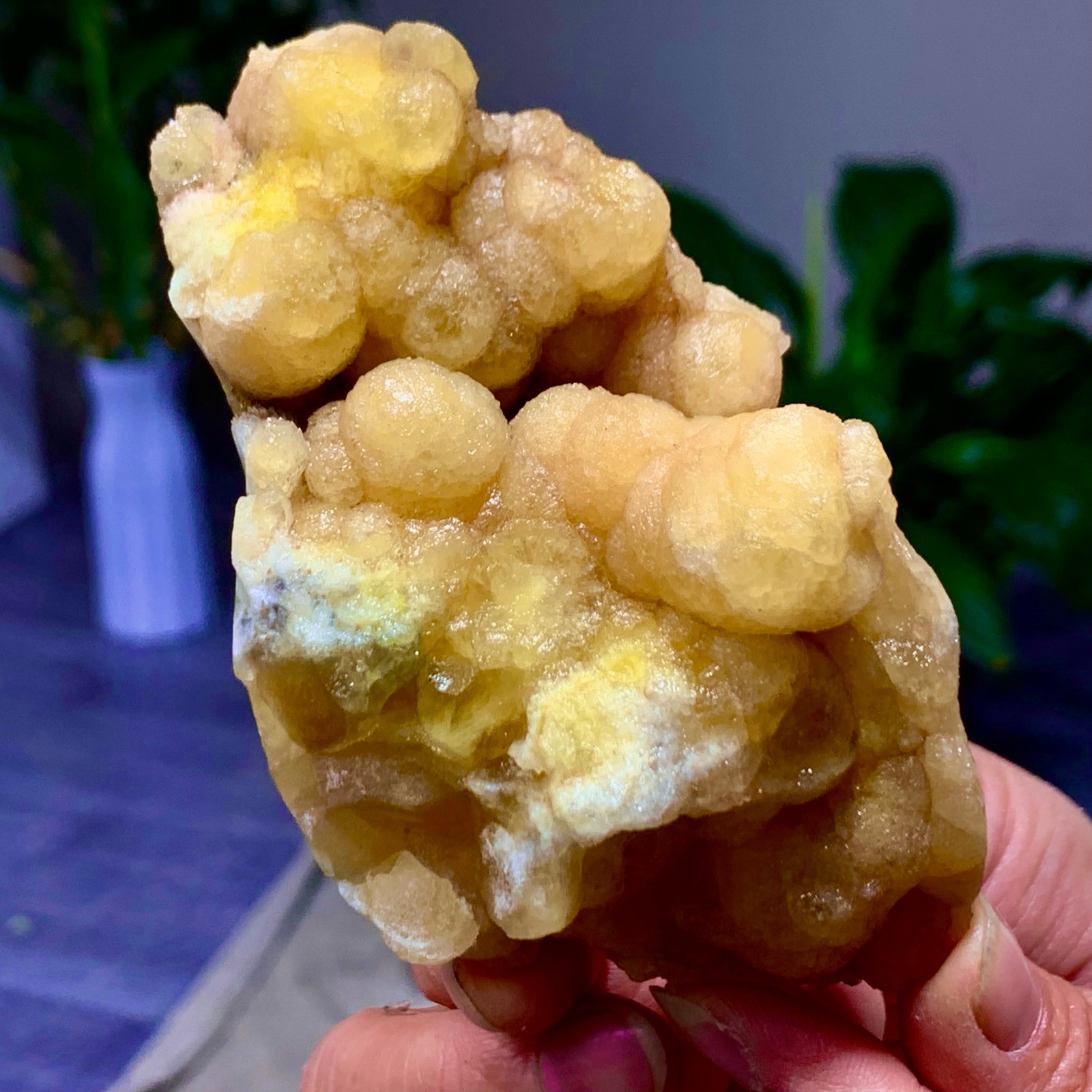 229G Natural transparent Bubble shape Yellow flourite cluster Spiritual Sample