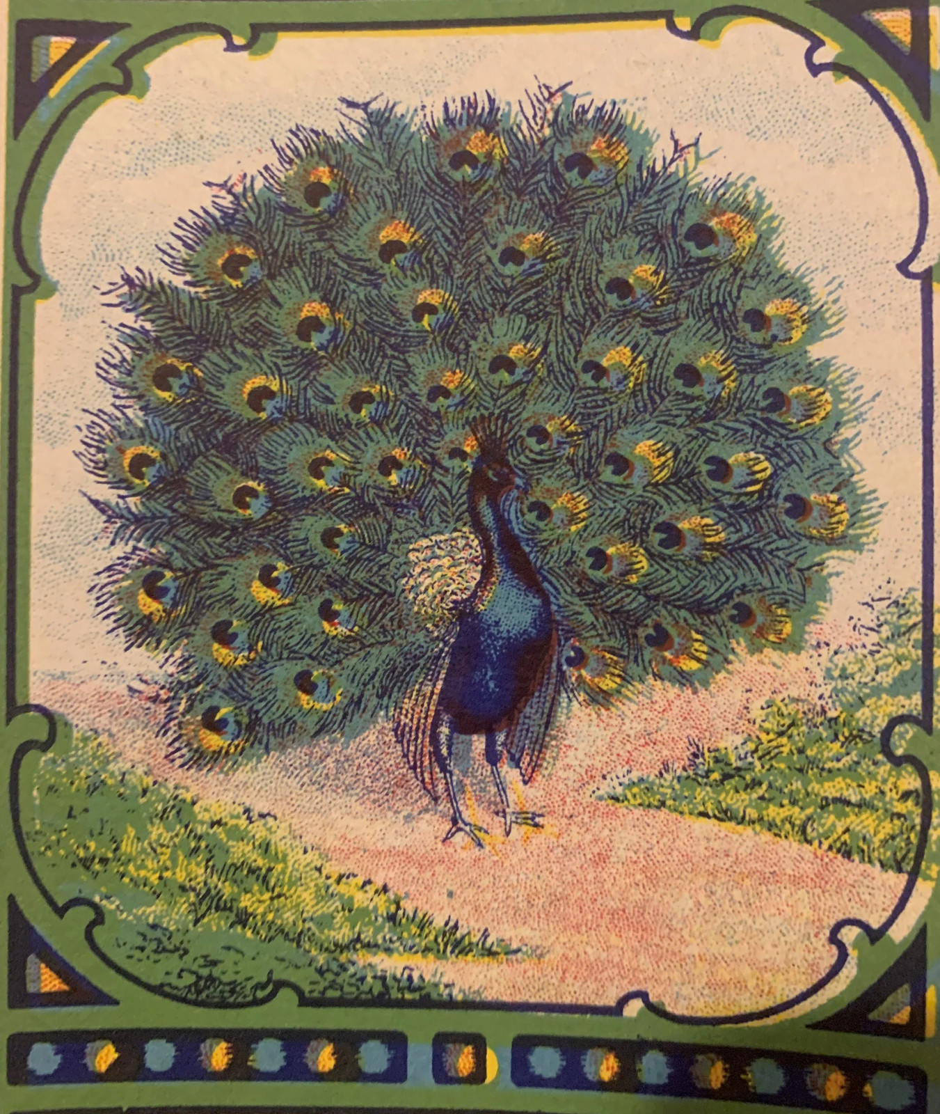 Antique Peacock Broom Label 🦚 1910s–1920s NOS Advertising Art, Bird Decor
