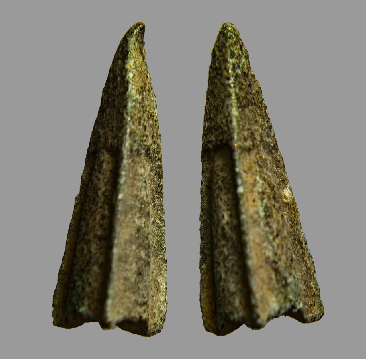 Ancient Judaean Siege Bronze Arrowhead 22mm Trilobate Masada Era COA
