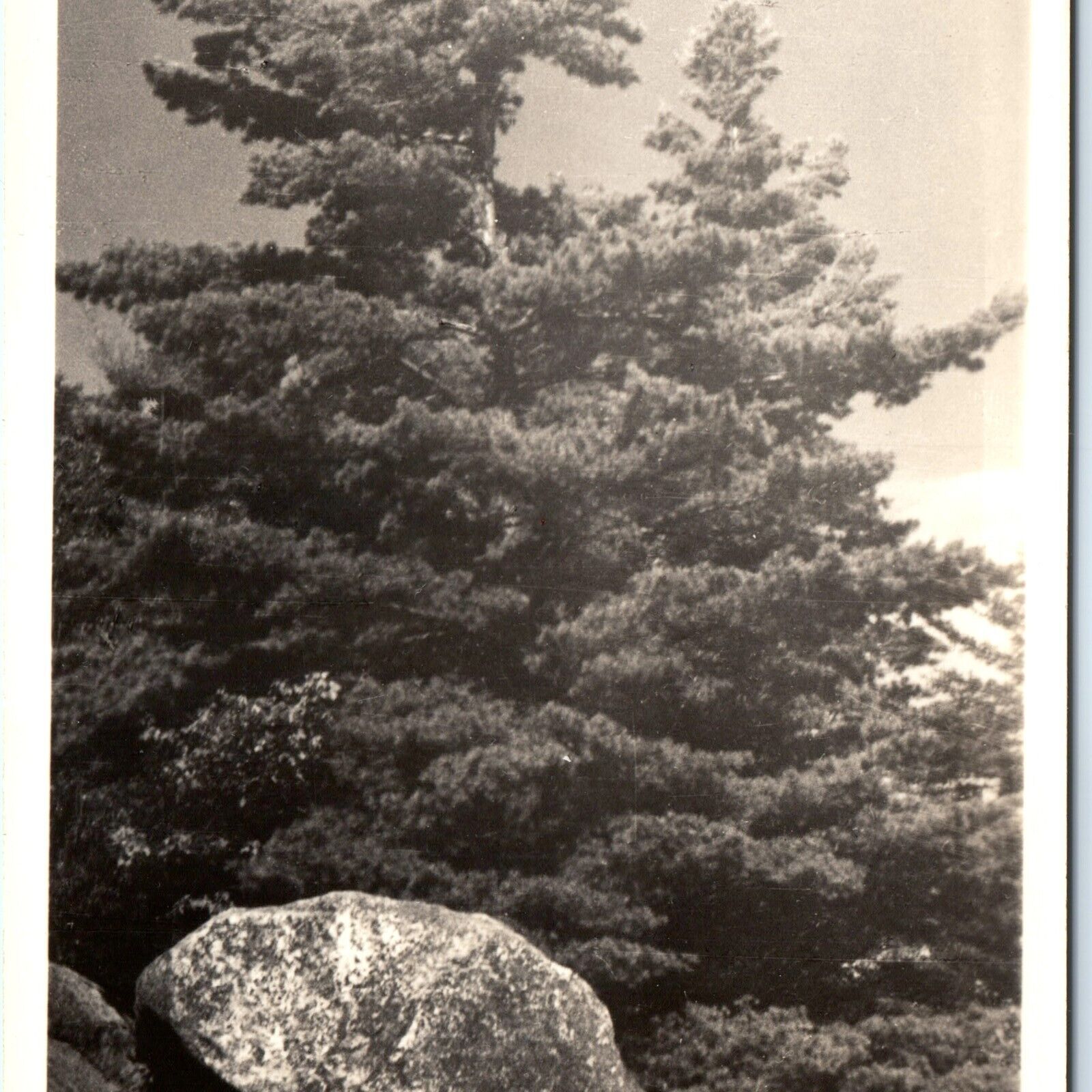 c1940s Bald Mountain, NY RPPC Balanced Rock Adirondacks Rare Cunningham PC A114