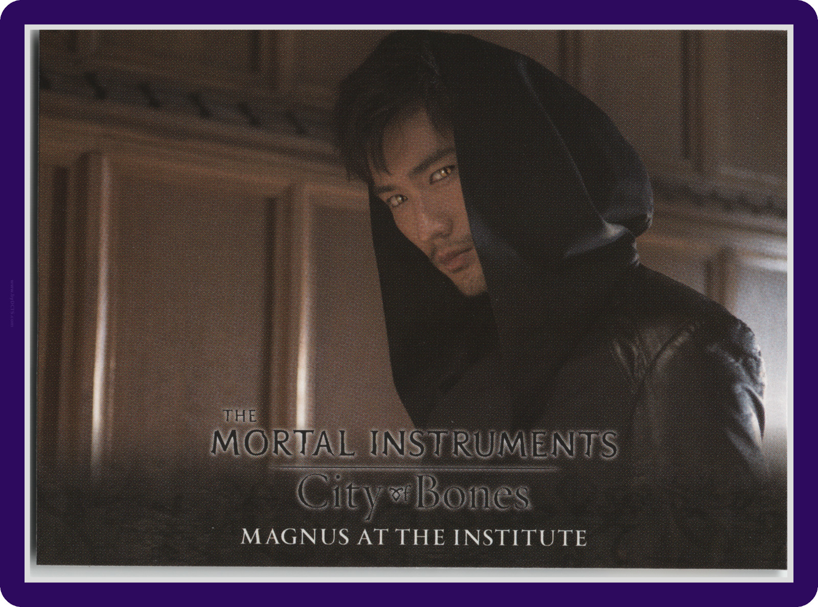 MAGNUS AT THE INSTITUTE 2013 LEAF THE MORTAL INSTRUMENTS CITY OF BONES ⌁ #S-40