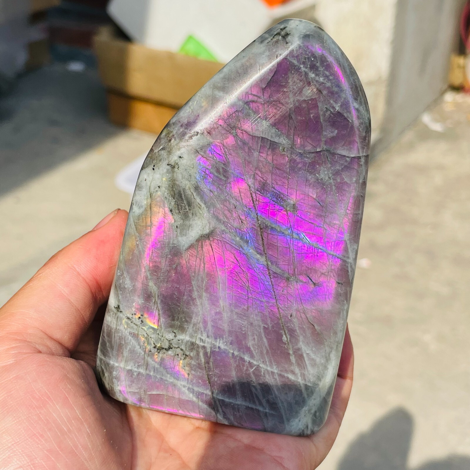 1.20lb Natural Purple Gorgeous Labradorite Quartz Crystal Display Specimen