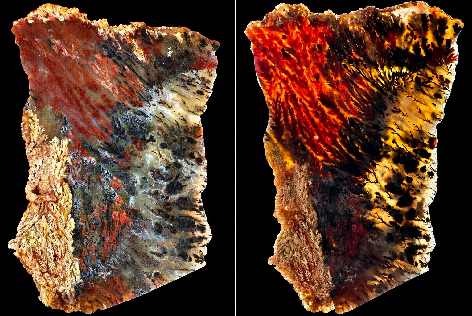Rare Powell Butte Plume Agate Slab Oregon Multicolor Dendritic Plume 93g