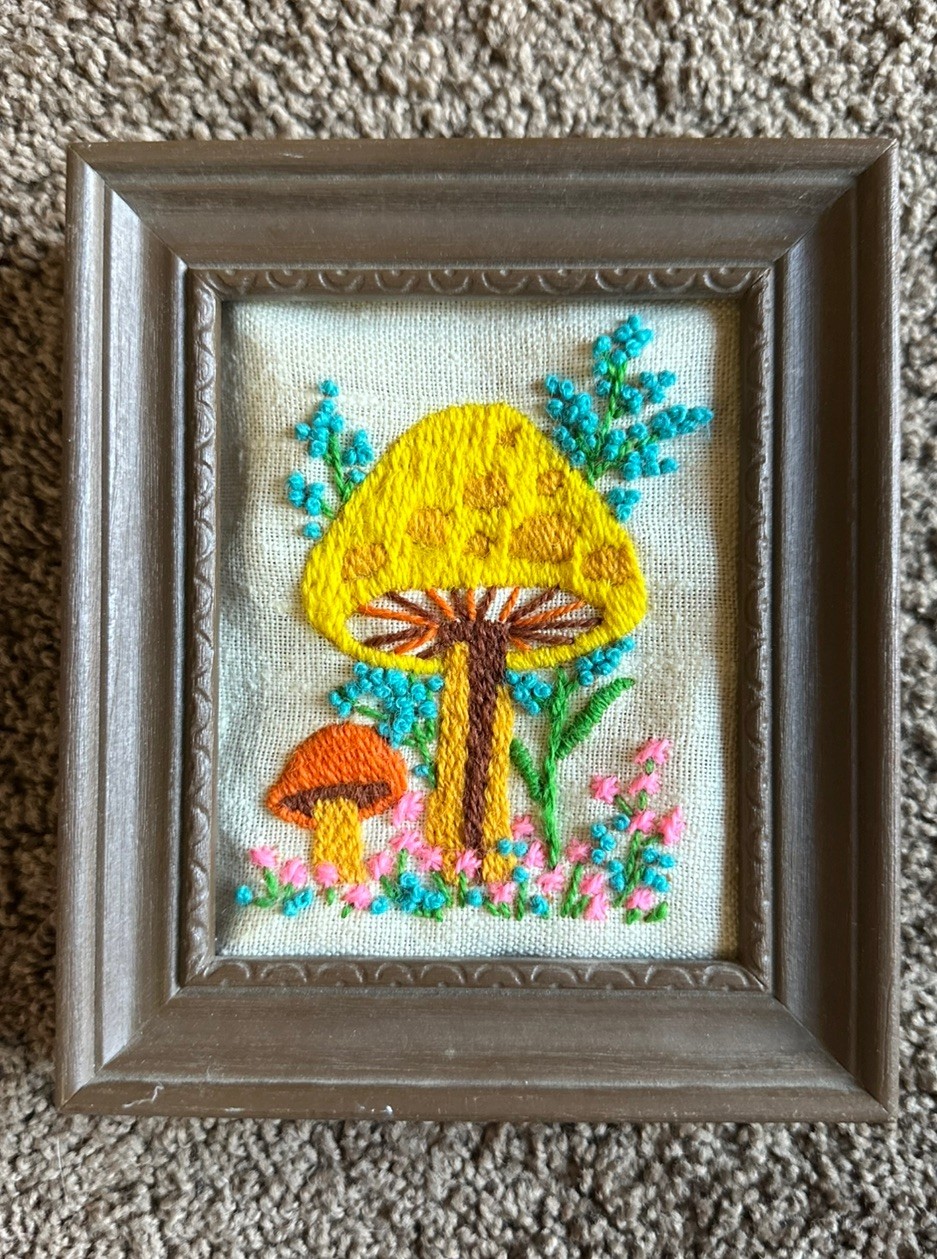 Vintage 70s psychedelic mushroom Crewel Embroidery Framed Needlepoint Hippie 