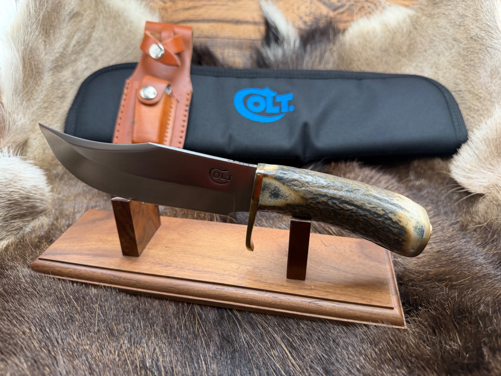 Sam Colt .45 Bowie Knife Vintage Stag Handle & Leather Sheath Mint In Box C16