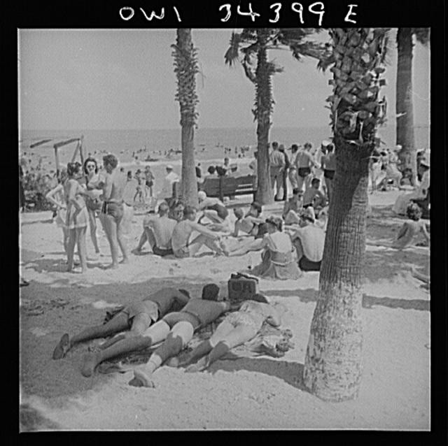 [Untitled photo, Texas. A beach], possibly related to: Corpus Christi