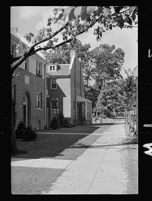 Photo:1930s Residential Street Sidewalk Brick Houses Trees